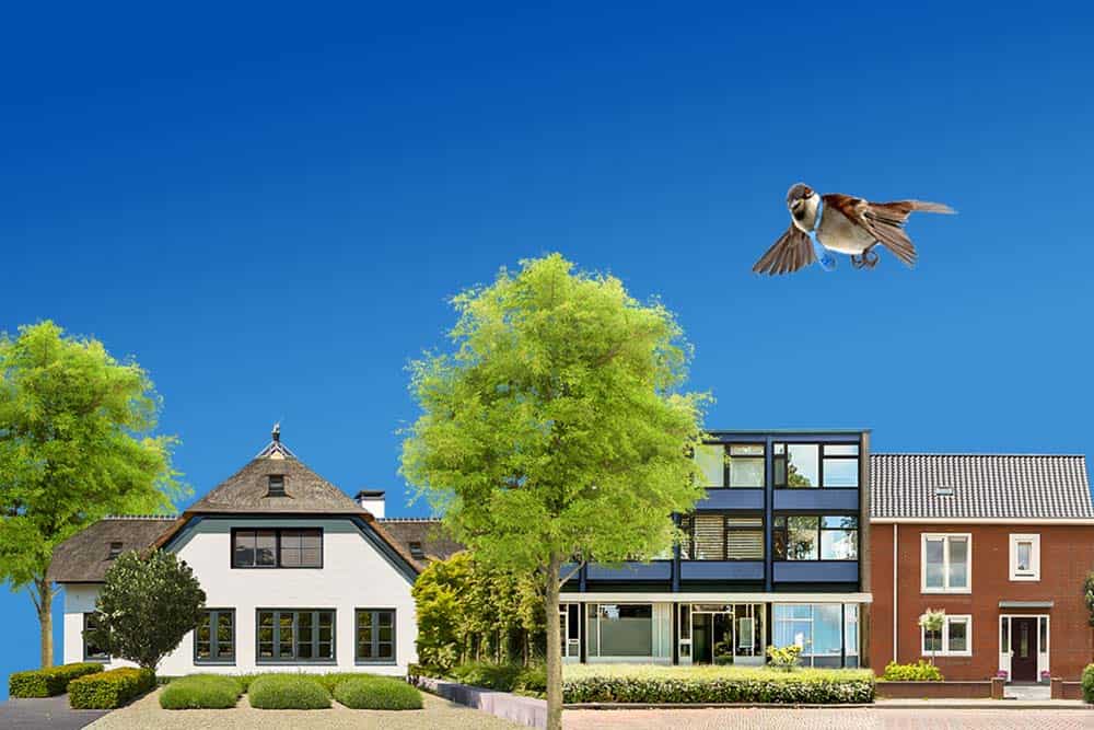 Newly Build Houses With Solar Panels Attached On The Roof